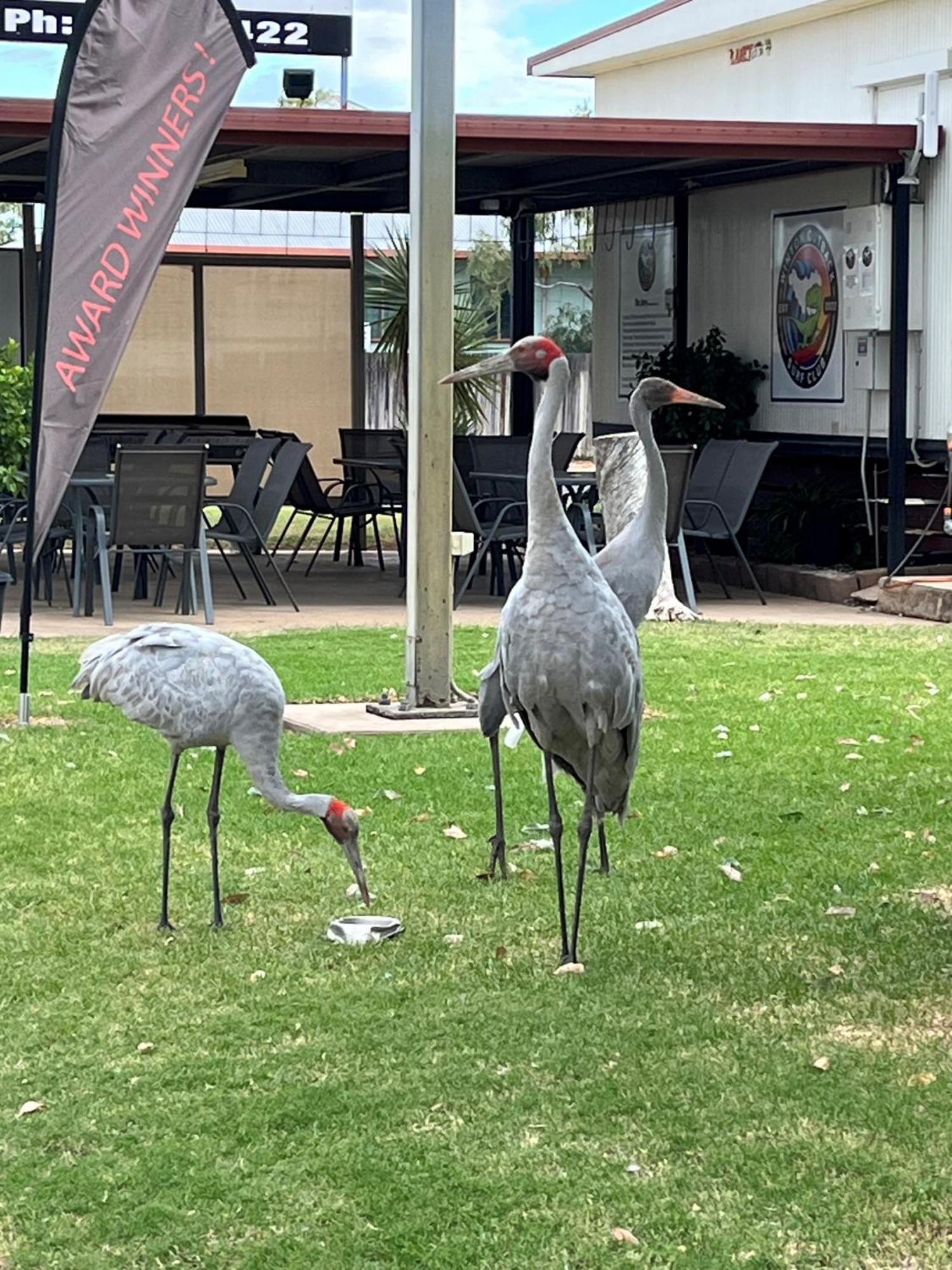 Winton Outback Motel Buitenkant foto